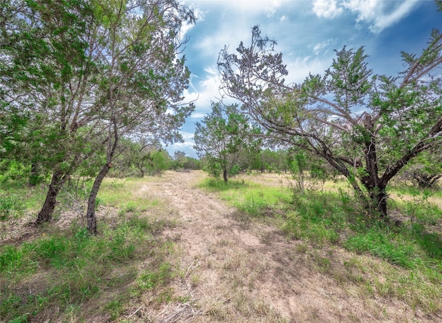 TBD Winnie Smith Rd, Round Mountain, TX 78663 - photo 18