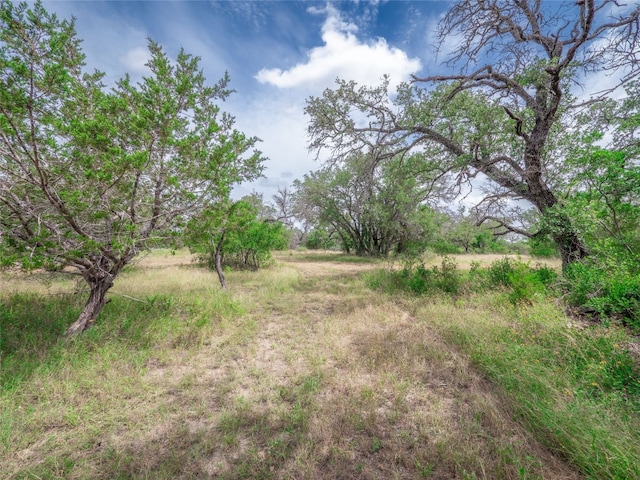 TBD Winnie Smith Rd, Round Mountain, TX 78663 - photo 19