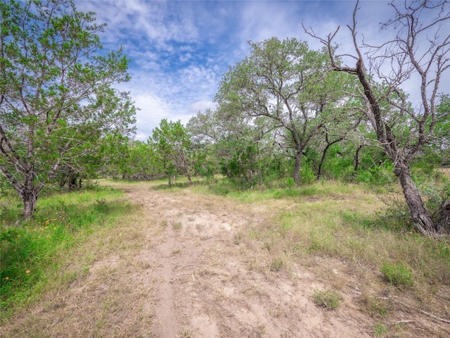 TBD Winnie Smith Rd, Round Mountain, TX 78663 - photo 20