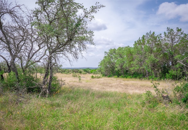 TBD Winnie Smith Rd, Round Mountain, TX 78663 - photo 21