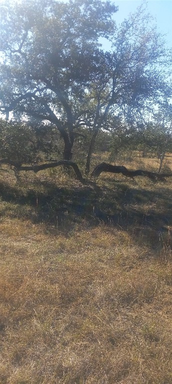 TBD Winnie Smith Rd, Round Mountain, TX 78663 - photo 22