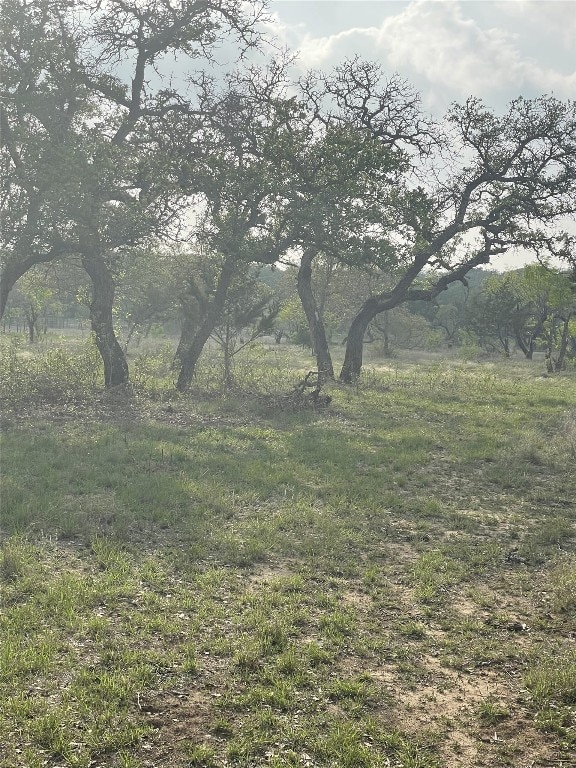 TBD Winnie Smith Rd, Round Mountain, TX 78663 - photo 23