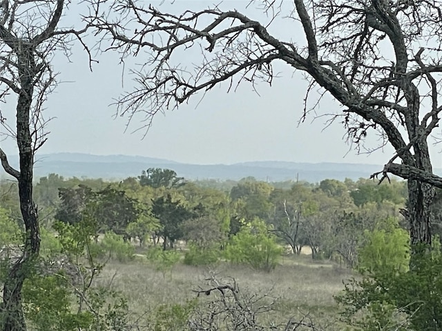 TBD Winnie Smith Rd, Round Mountain, TX 78663 - photo 24