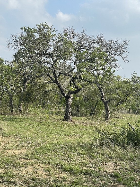 TBD Winnie Smith Rd, Round Mountain, TX 78663 - photo 25