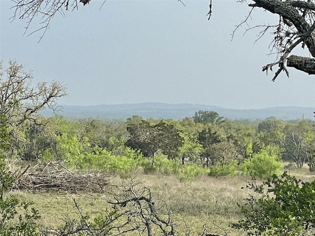 TBD Winnie Smith Rd, Round Mountain, TX 78663 - photo 26
