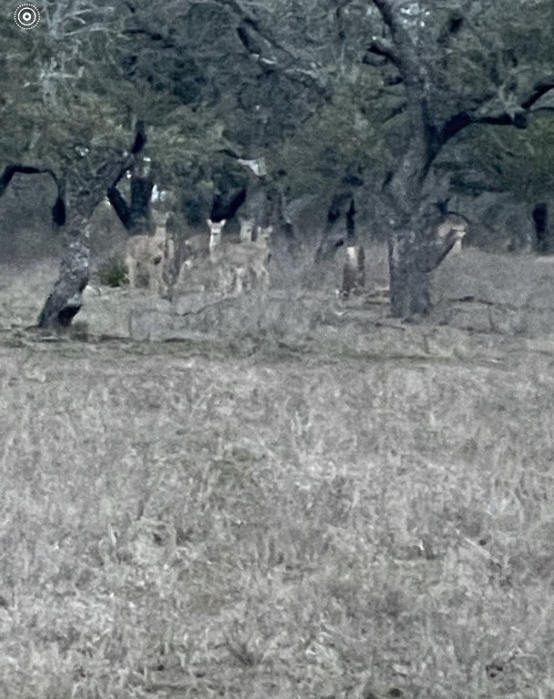 TBD Winnie Smith Rd, Round Mountain, TX 78663 - photo 27
