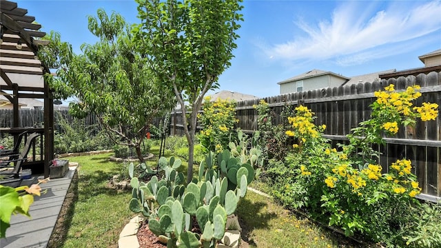 4510 Heathers Rose, Saint Hedwig, TX 78152 - photo 22