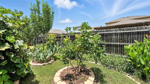4510 Heathers Rose, Saint Hedwig, TX 78152 - photo 23