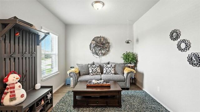 4510 Heathers Rose, Saint Hedwig, TX 78152 - photo 2