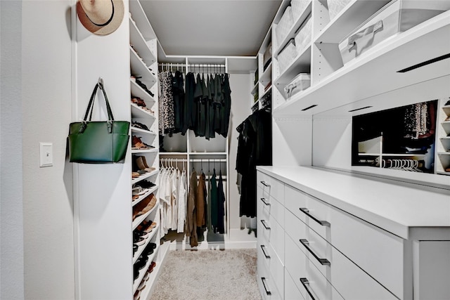 3032 Maryanne Ln, Pflugerville, TX 78660 - view of walk in closet