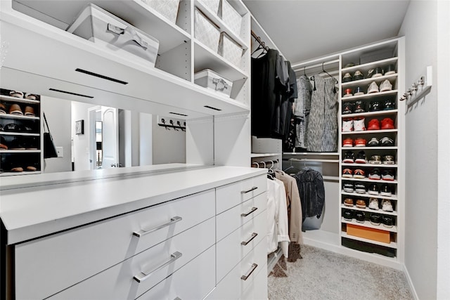 3032 Maryanne Ln, Pflugerville, TX 78660 - spacious closet with carpet flooring