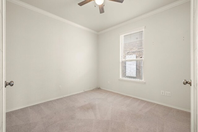 613 Duroc Dr, Hutto, TX 78634 - photo 17