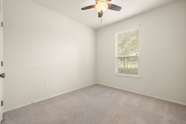 613 Duroc Dr, Hutto, TX 78634 - photo 18