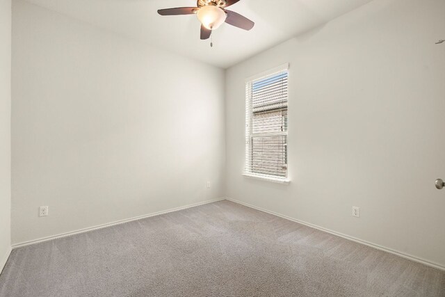 613 Duroc Dr, Hutto, TX 78634 - photo 20