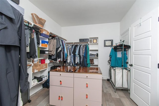 2050 Chalk Mill Xing, Salado, TX 76571 - walk in closet with light wood-style flooring