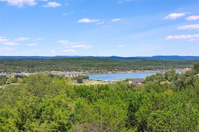 3216 Poe Cv Unit 4D, Lago Vista, TX 78645 - photo 12