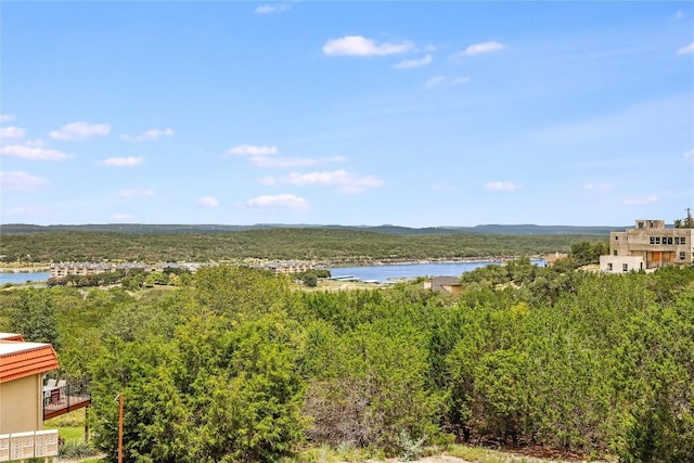 3216 Poe Cv Unit 4D, Lago Vista, TX 78645 - photo 13