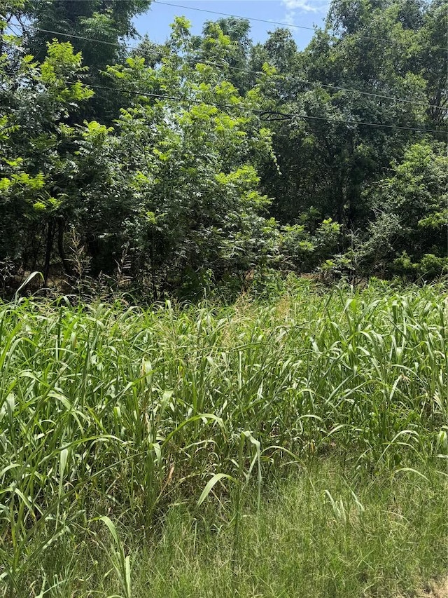 LOT908 Kahana Ln, Bastrop, TX 78602