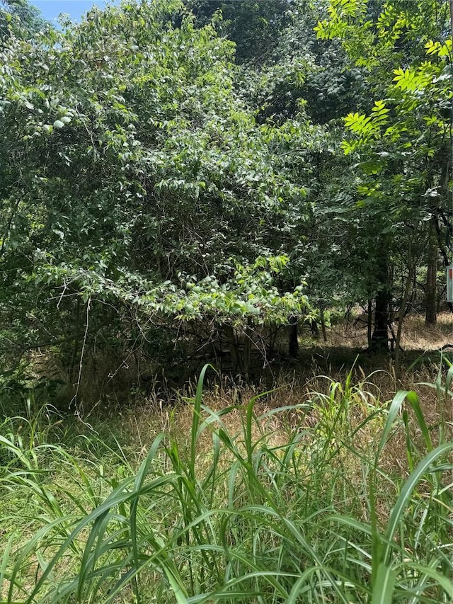 LOT908 Kahana Ln, Bastrop, TX 78602