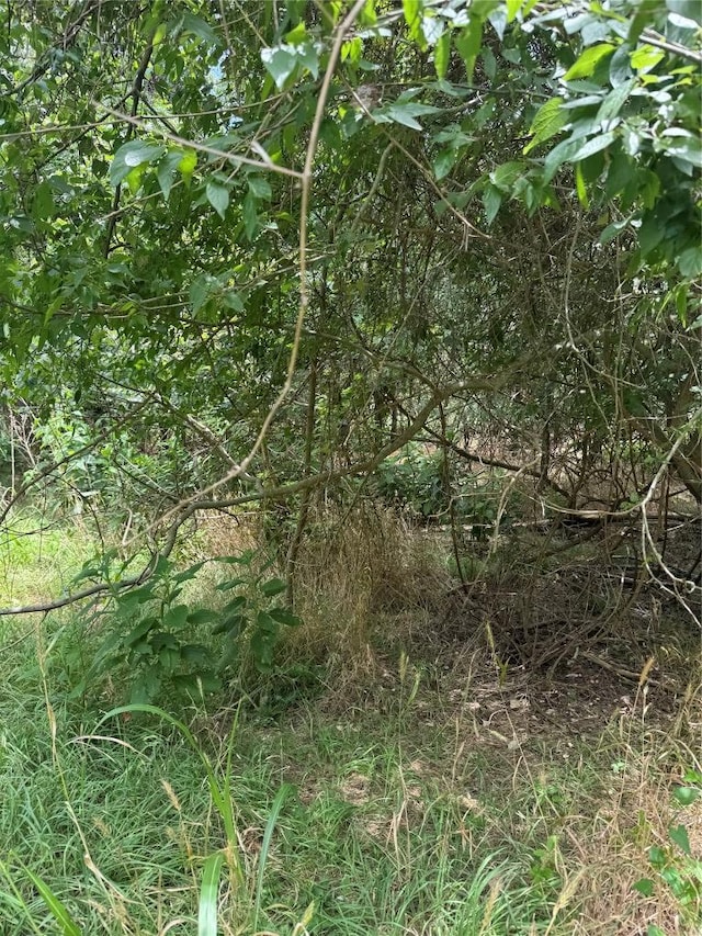 LOT908 Kahana Ln, Bastrop, TX 78602