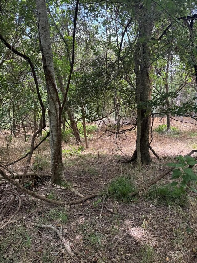 LOT908 Kahana Ln, Bastrop, TX 78602