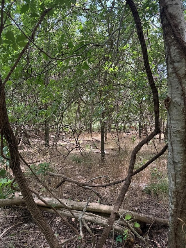 LOT908 Kahana Ln, Bastrop, TX 78602