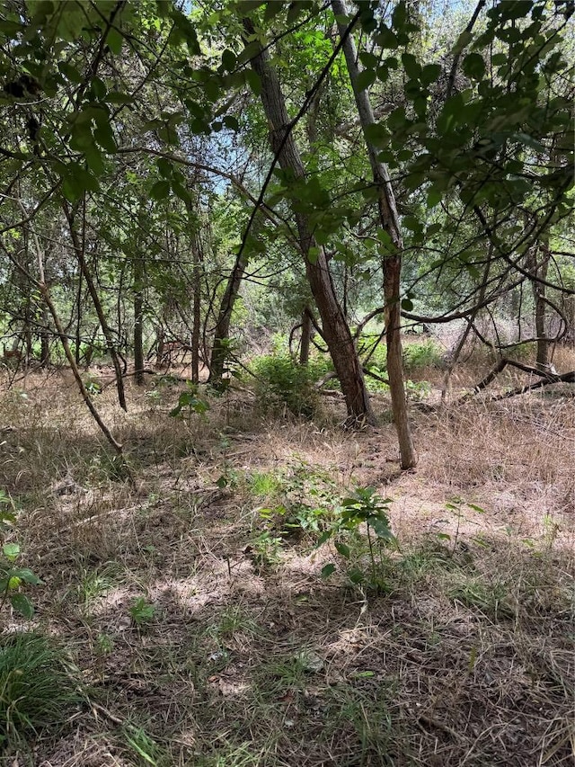 LOT908 Kahana Ln, Bastrop, TX 78602