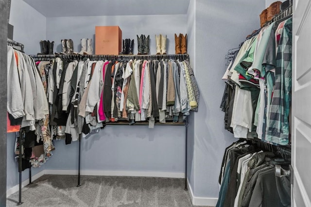 7104 Brick Slope Path, Austin, TX 78744 - walk in closet featuring carpet