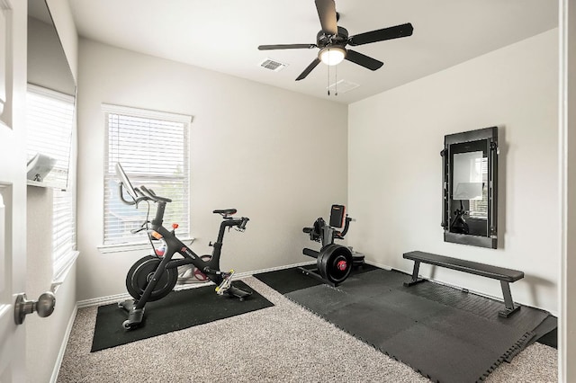 8801 Cattle Baron Path, Austin, TX 78747 - photo 24