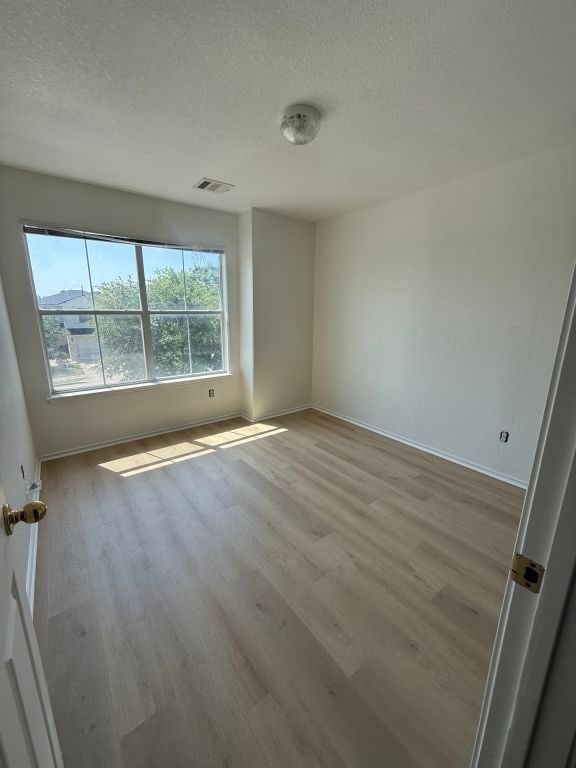 15316 Lady Elizabeth Ln, Pflugerville, TX 78660 - empty room featuring a textured ceiling and light wood-style floors