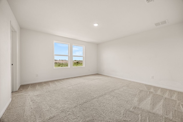 704 Gemsbok Dr, Hutto, TX 78634 - photo 11