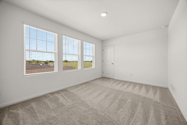 704 Gemsbok Dr, Hutto, TX 78634 - photo 16