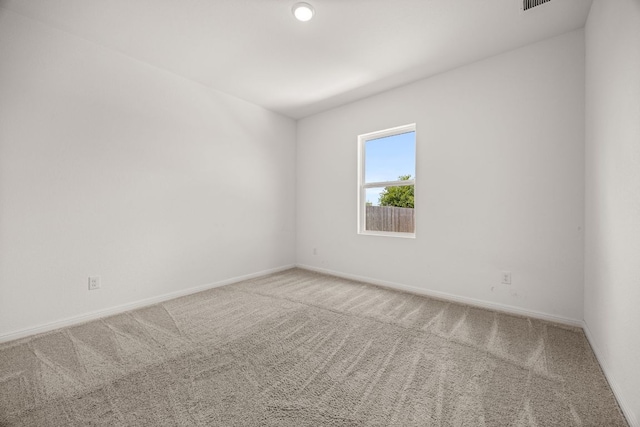 704 Gemsbok Dr, Hutto, TX 78634 - photo 19