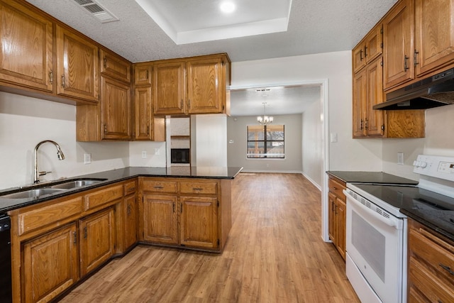 3419 Bluebonnet Trl, Georgetown, TX 78628 - kitchen featuring electric stove, under cabinet range hood, and brown cabinetry