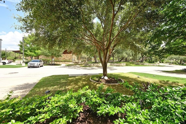 903 Allende Bnd, Austin, TX 78748 - photo 33