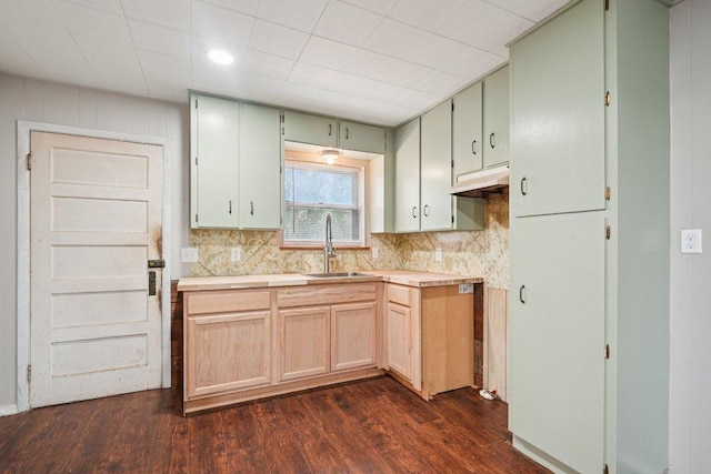 1620 Cavett St, Gonzales, TX 78629 - kitchen featuring dark wood finished floors, light countertops, and tasteful backsplash