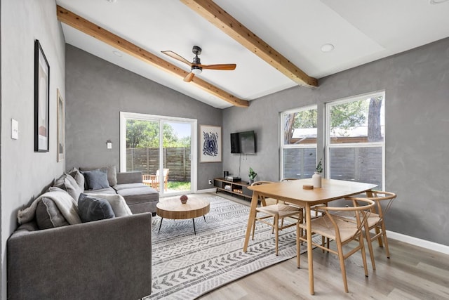 4911 Brighton Rd, Austin, TX 78745 - living area with light wood finished floors and ceiling fan