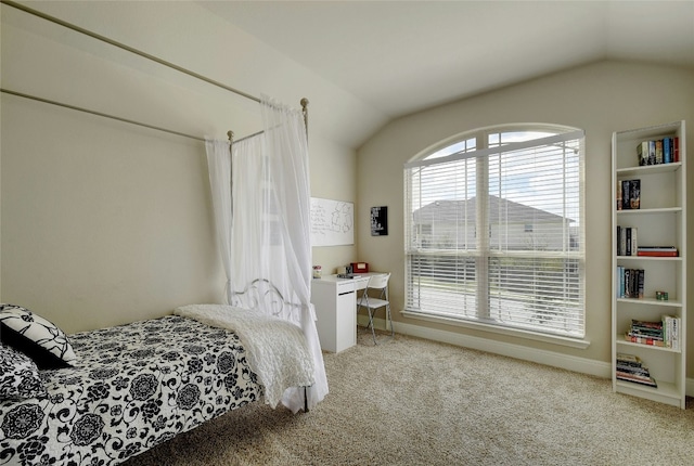 578 Ledge Stone Dr, Austin, TX 78737 - carpeted bedroom with vaulted ceiling