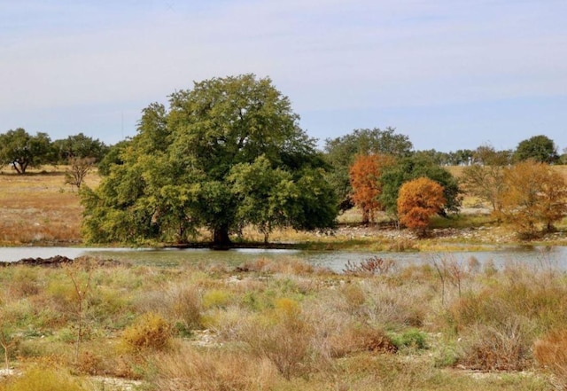 306 Yaklin Dr, Liberty Hill, TX 78642 - view of local wilderness featuring a large body of water