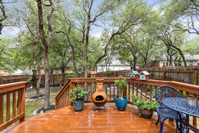 4112 Seldalia Trl, Austin, TX 78732 - photo 27