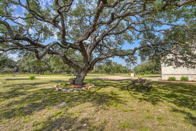 1050 Twisted Oak Dr, Horseshoe Bay, TX 78657 - view of grassy yard