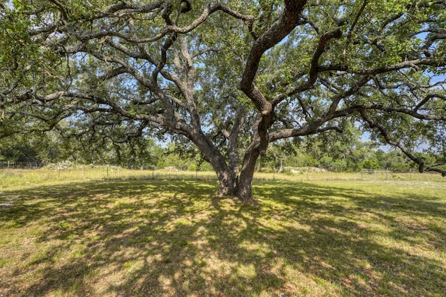 1050 Twisted Oak Dr, Horseshoe Bay, TX 78657 - view of green lawn