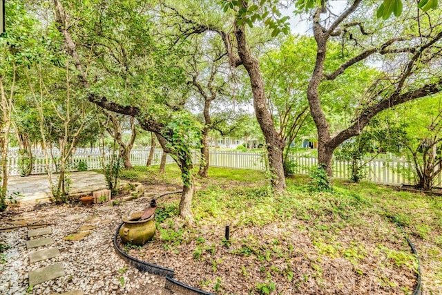 911 Bogart Rd, Cedar Park, TX 78613 - view of fenced backyard