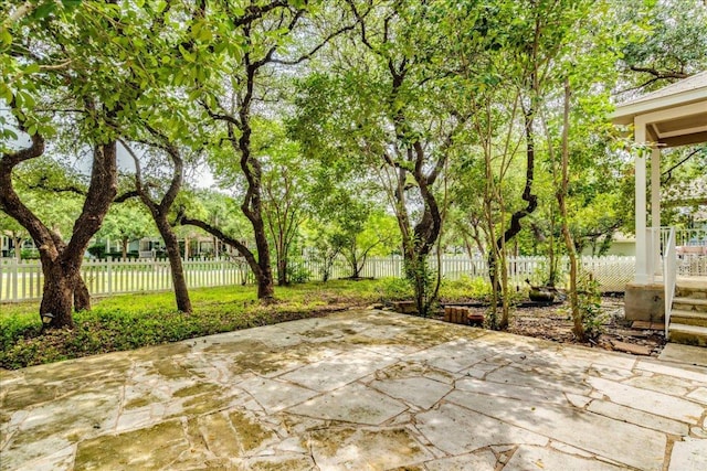 911 Bogart Rd, Cedar Park, TX 78613 - fenced backyard with a patio area