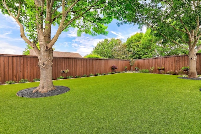 30613 Chi Chi Dr, Georgetown, TX 78628 - view of fenced backyard
