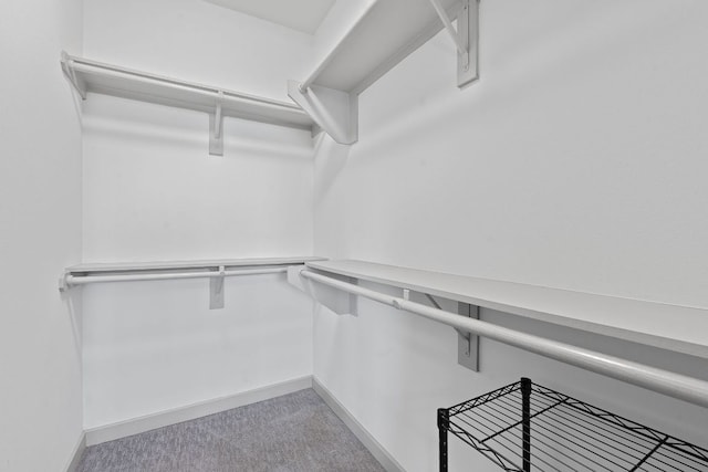 3600 S Lamar Blvd Unit 501, Austin, TX 78704 - walk in closet with carpet flooring