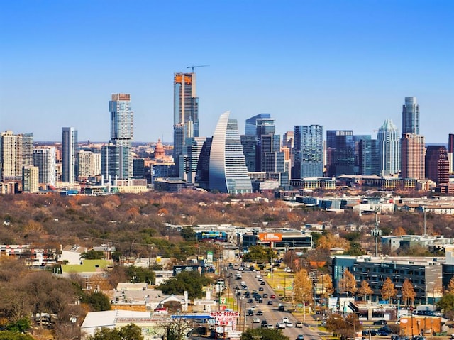 3600 S Lamar Blvd Unit 501, Austin, TX 78704 - view of city skyline