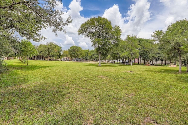 195 Heritage Oaks Dr, Cedar Creek, TX 78612 - view of community with a yard