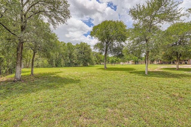 195 Heritage Oaks Dr, Cedar Creek, TX 78612 - view of grassy yard
