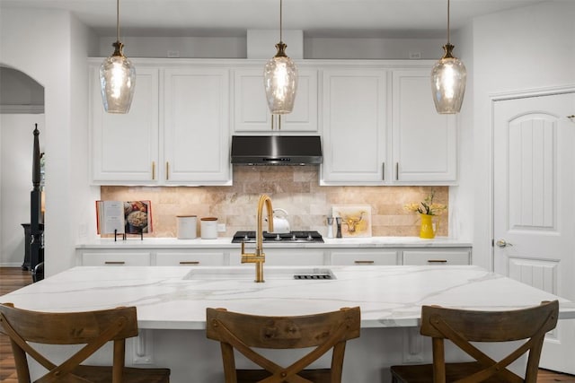 4539 Miraval Loop, Round Rock, TX 78665 - kitchen featuring under cabinet range hood, white cabinetry, and backsplash